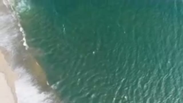 SAN JOSE DEL CABO BCS MEXICO-2023: Aerial Beach With A Surfboard And A Boat