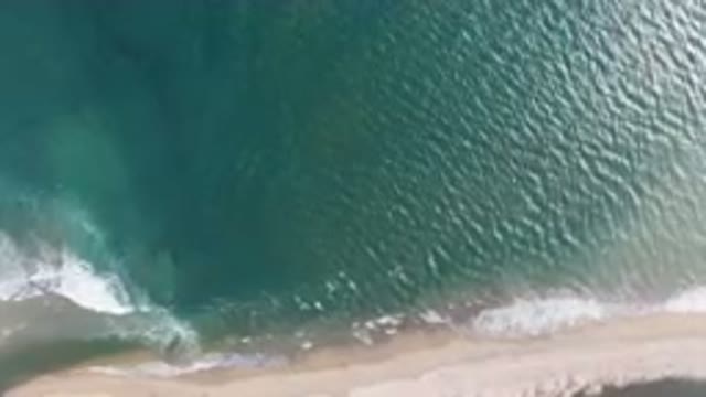 SAN JOSE DEL CABO BCS MEXICO-2023: Aerial Beach With A Boat And A Body Of Water