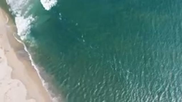 SAN JOSE DEL CABO BCS MEXICO-2023: Aerial Beach With A Surfboard And A Boat