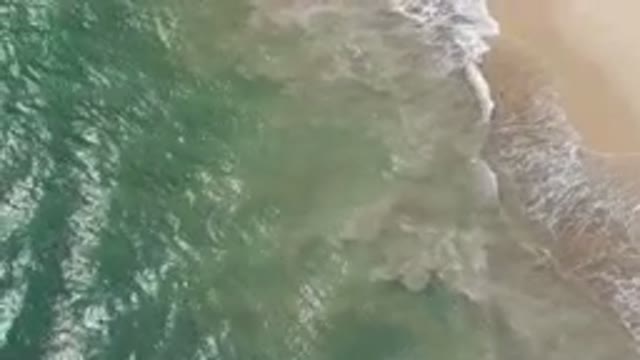 SAN JOSE DEL CABO BCS MEXICO-2023: Aerial Person On A Surfboard In The Ocean