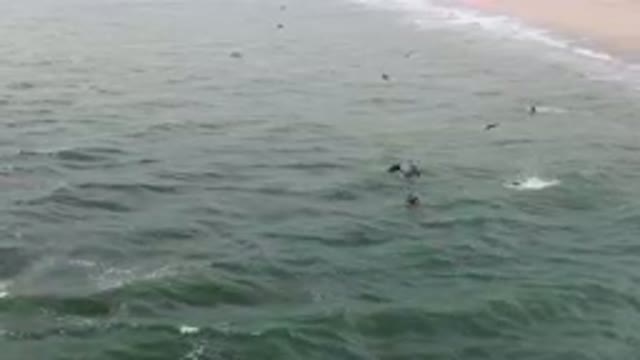 SAN JOSE DEL CABO BCS MEXICO-2023: Surfers Are Swimming In The Ocean Near A