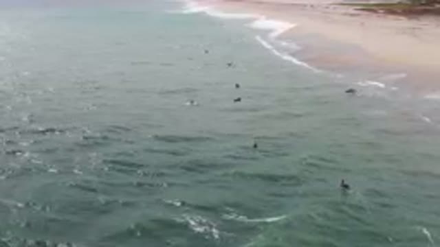 SAN JOSE DEL CABO BCS MEXICO-2023: Surfers Are In The Water Near The Beach And A
