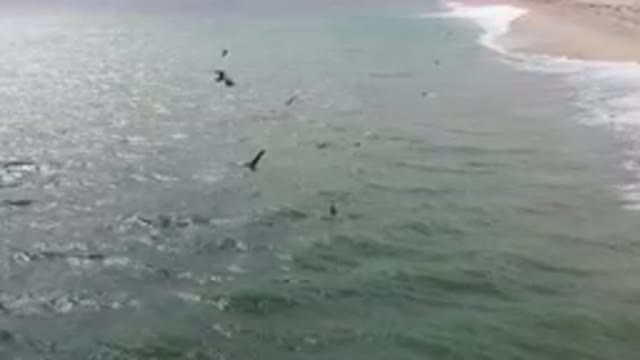 SAN JOSE DEL CABO BCS MEXICO-2023: Surfers Are In The Water Near The Beach And A