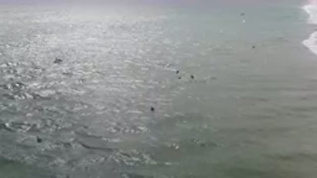 SAN JOSE DEL CABO BCS MEXICO-2023: Surfers Ride Gentle Waves With Their Boards In The Ocean