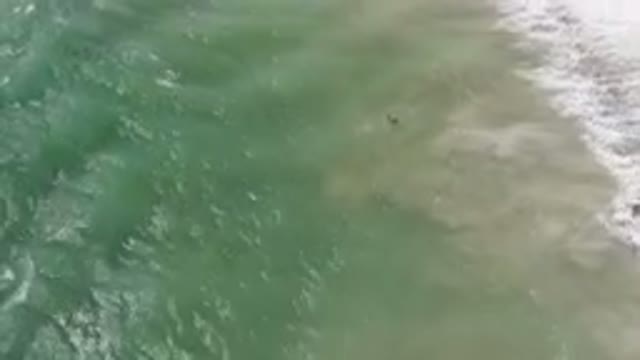 SAN JOSE DEL CABO BCS MEXICO-2023: Two People In The Water With Surfboards On