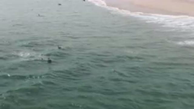 SAN JOSE DEL CABO BCS MEXICO-2023: Several Birds Flying Over The Ocean Near A