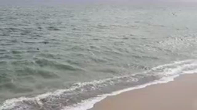 SAN JOSE DEL CABO BCS MEXICO-2023: Person Standing On A Surfboard In The Ocean