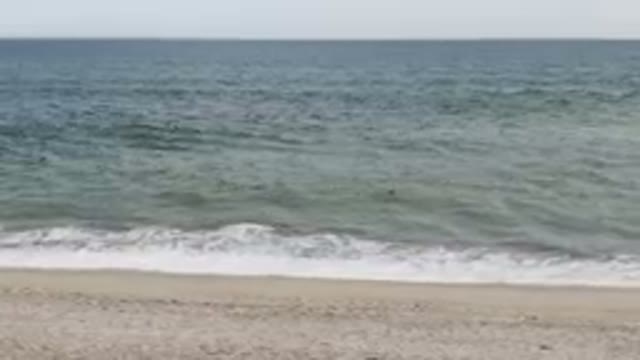 SAN JOSE DEL CABO BCS MEXICO-2023: Two People On The Beach With A Surfboard