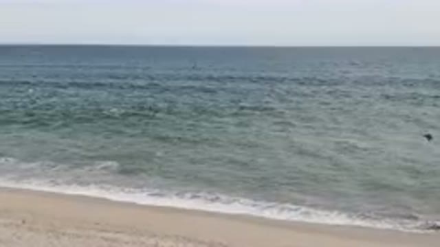 SAN JOSE DEL CABO BCS MEXICO-2023: Surfers Ride Gentle Waves On The Ocean
