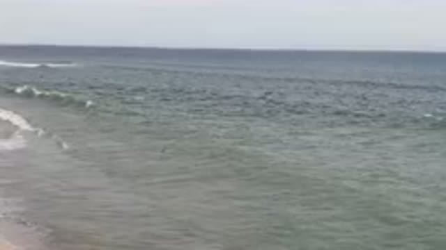 SAN JOSE DEL CABO BCS MEXICO-2023: Surfers Are Riding The Waves On The Beach