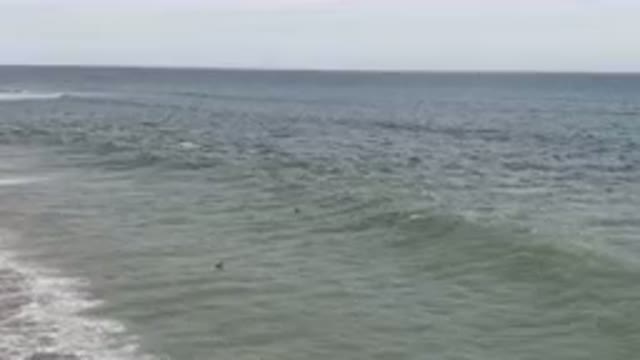 SAN JOSE DEL CABO BCS MEXICO-2023: Surfers Riding Waves On A Clear Day
