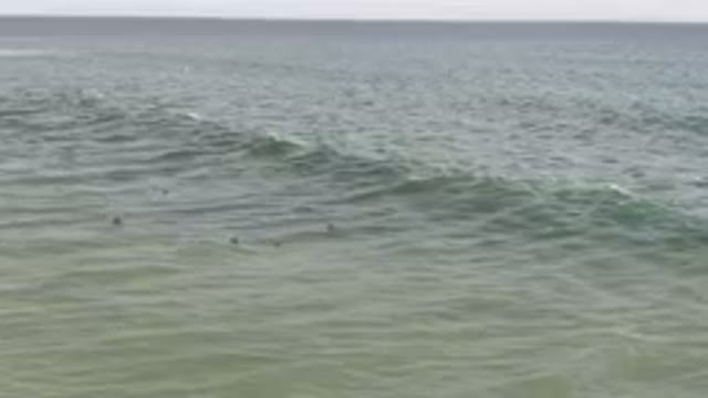 SAN JOSE DEL CABO BCS MEXICO-2023: Surfers In The Ocean With Their Surfboards In