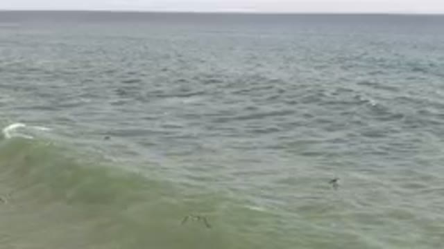 SAN JOSE DEL CABO BCS MEXICO-2023: Surfers Riding Waves in the Ocean