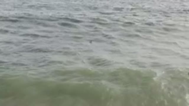 SAN JOSE DEL CABO BCS MEXICO-2023: Surfers Are In The Water With Their Boards In