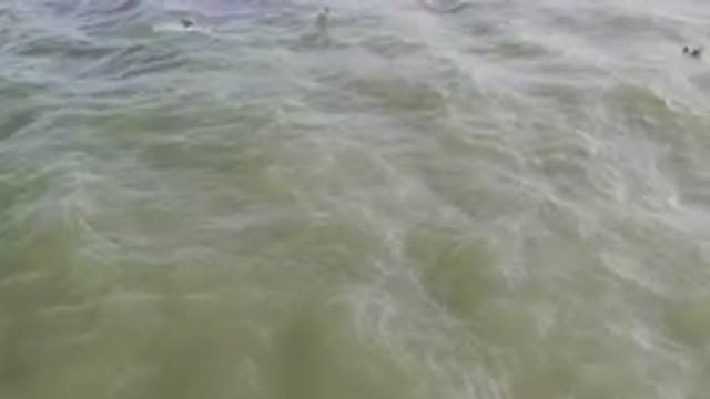 SAN JOSE DEL CABO BCS MEXICO-2023: Surfers Are In The Water With Their Boards In