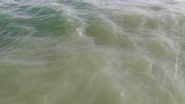 SAN JOSE DEL CABO BCS MEXICO-2023: Surfers Ride Waves With Their Boards In The Water