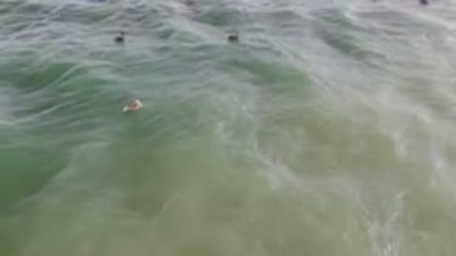 SAN JOSE DEL CABO BCS MEXICO-2023: Several People Are Swimming In The Ocean With