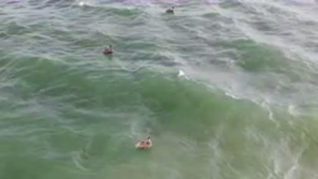 SAN JOSE DEL CABO BCS MEXICO-2023: Several People Are Swimming In The Ocean With