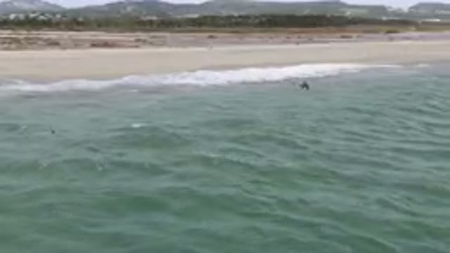 SAN JOSE DEL CABO BCS MEXICO-2023: Many Birds Flying Over The Water Near The