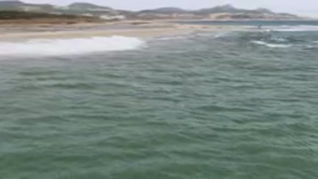 SAN JOSE DEL CABO BCS MEXICO-2023: Surfers Riding Waves On The Beach
