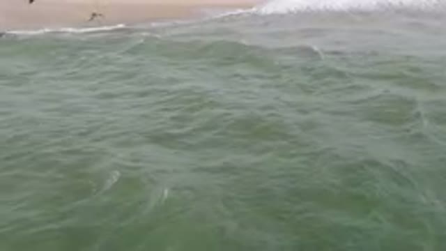 SAN JOSE DEL CABO BCS MEXICO-2023: Surfers Are Riding The Waves On The Beach