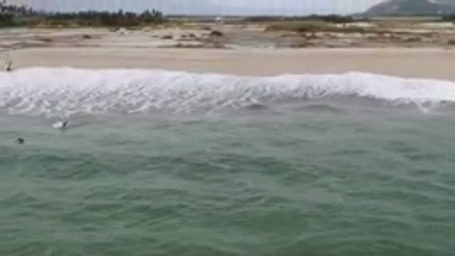 SAN JOSE DEL CABO BCS MEXICO-2023: Surfers Riding Waves On The Beach