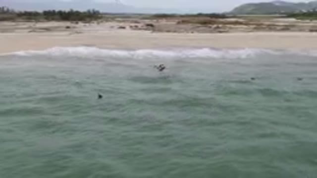 SAN JOSE DEL CABO BCS MEXICO-2023: Surfers Are Swimming In The Ocean Near A