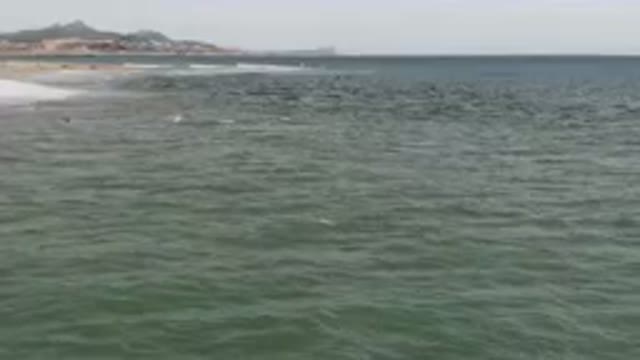 SAN JOSE DEL CABO BCS MEXICO-2023: Many Birds Flying Over The Water At The Beach