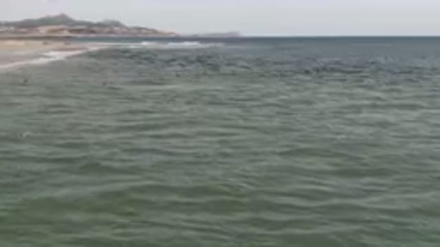 SAN JOSE DEL CABO BCS MEXICO-2023: Many Birds Flying Over The Water At The Beach