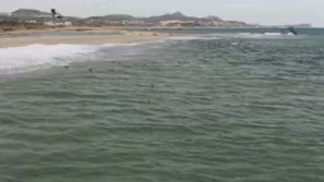 SAN JOSE DEL CABO BCS MEXICO-2023: Many Birds Flying Over The Water At The Beach