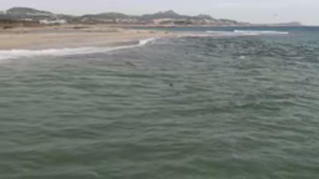 SAN JOSE DEL CABO BCS MEXICO-2023: Surfers Ride Waves On The Beach And In The Water