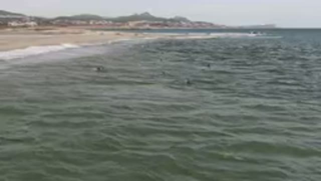 SAN JOSE DEL CABO BCS MEXICO-2023: Surfers Are Swimming In The Ocean Near A