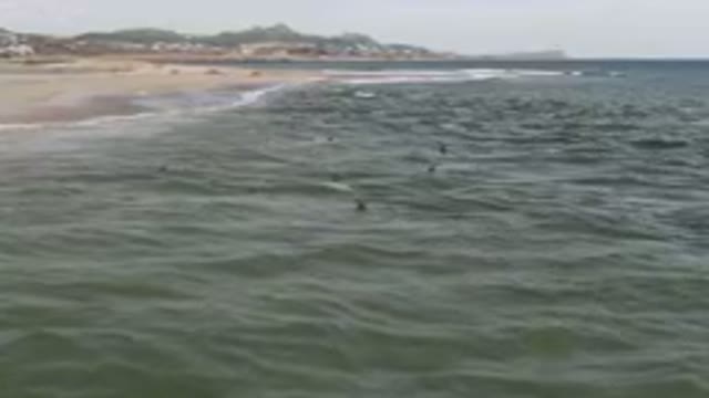 SAN JOSE DEL CABO BCS MEXICO-2023: Surfers Are Swimming In The Ocean Near A