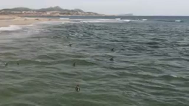 SAN JOSE DEL CABO BCS MEXICO-2023: Surfers Are Swimming In The Ocean Near A Beach