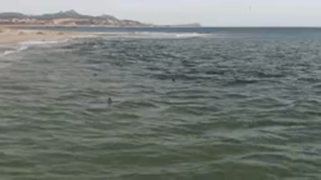 SAN JOSE DEL CABO BCS MEXICO-2023: Surfers Are In The Water At The Beach With A