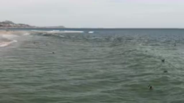 SAN JOSE DEL CABO BCS MEXICO-2023: Surfers Are Swimming In The Ocean Near A