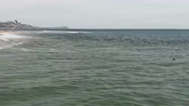 SAN JOSE DEL CABO BCS MEXICO-2023: Surfers Riding Waves On The Beach