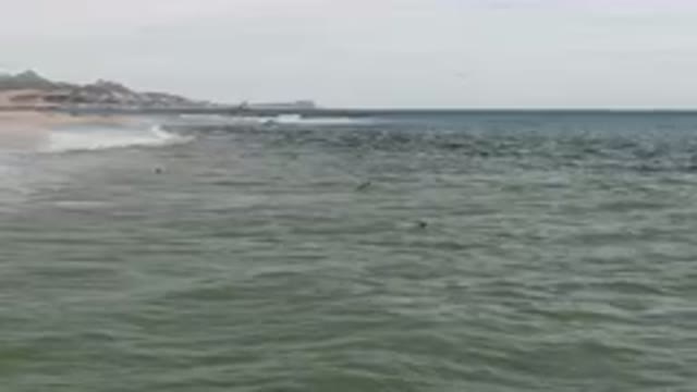 SAN JOSE DEL CABO BCS MEXICO-2023: Surfers Are Swimming In The Ocean Near A