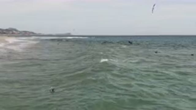 SAN JOSE DEL CABO BCS MEXICO-2023: Surfers Are In The Ocean Near A Beach With A