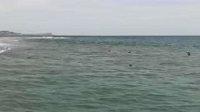 SAN JOSE DEL CABO BCS MEXICO-2023: Surfers Are On The Beach In The Ocean With A