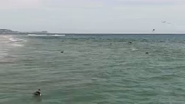 SAN JOSE DEL CABO BCS MEXICO-2023: Many People Swimming In The Ocean On A Sunny Day
