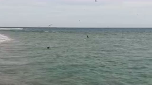 SAN JOSE DEL CABO BCS MEXICO-2023: Surfers Swimming In The Ocean On A Cloudy Day