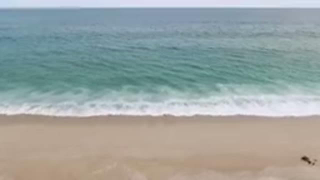 SAN JOSE DEL CABO BCS MEXICO-2023: Person Walking On The Beach With A Surfboard