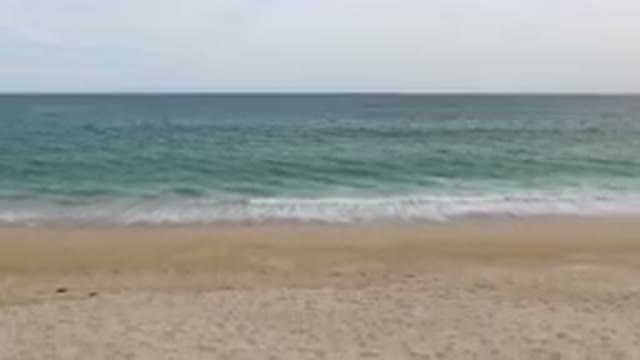 SAN JOSE DEL CABO BCS MEXICO-2023: Person Walking On The Beach With A Surfboard