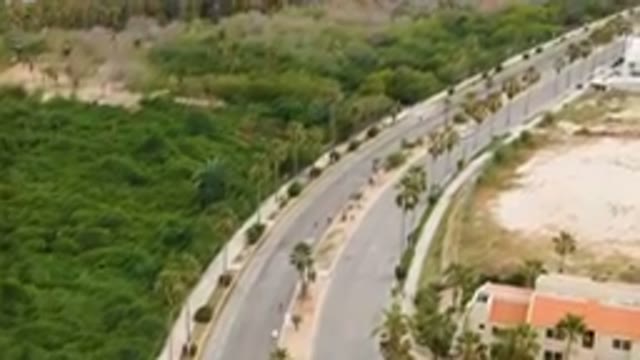 SAN JOSE DEL CABO BCS MEXICO-2023: Aerial Road With A Beach And Palm Trees