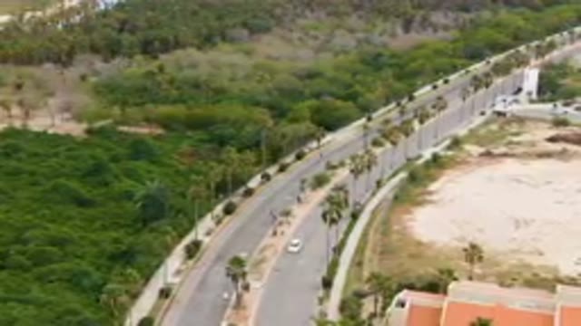 SAN JOSE DEL CABO BCS MEXICO-2023: Aerial Road With A Long Line Of Trees