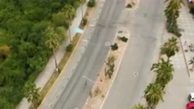 SAN JOSE DEL CABO BCS MEXICO-2023: Aerial Street With A Few Cars And Palm Trees