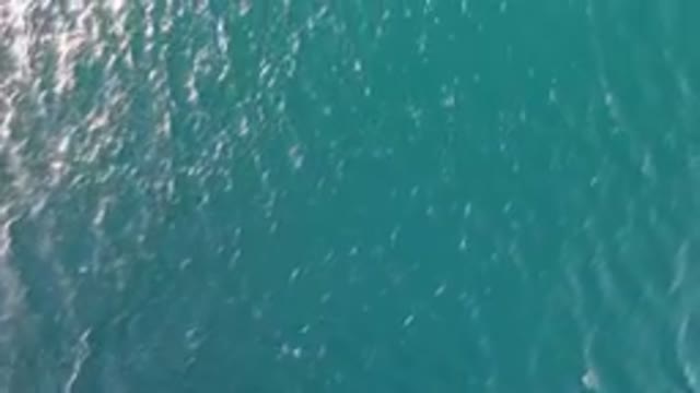 LOS FRAILES BCS MEXICO-2023: Man Riding A Surfboard On The Water