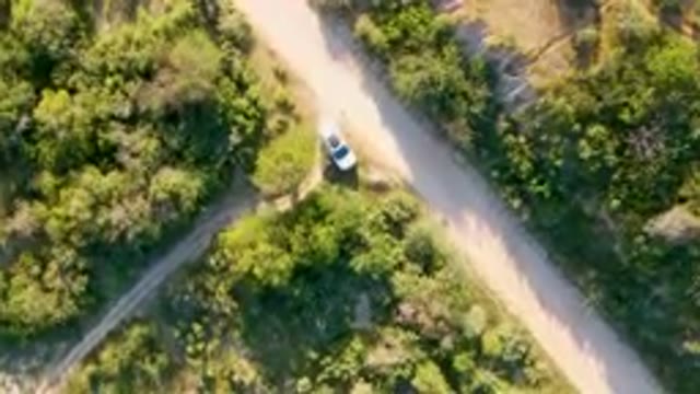 LOS FRAILES BCS MEXICO-2023: Aerial Car Driving Down A Dirt Road In The Woods