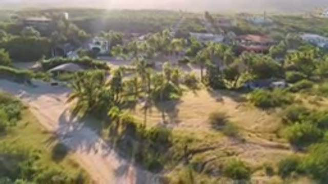 LOS FRAILES BCS MEXICO-2023: Aerial Dirt Road With Palm Trees And Houses
